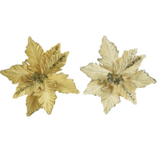 Deux fleurs d''étoile de Noël dorées comme décorations pour sapin de Noël