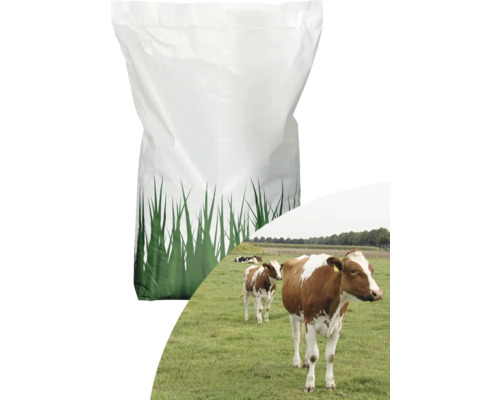 Mélange pour prairie GII avec trèfle Kiepenkerl 10 kg, 2 500 m² Sac d''aliments pour animaux avec pâturage en arrière-plan