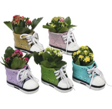 Pots de fleurs en forme de chaussure multicolores avec des fleurs