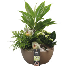 Pflanzschale mit Grünpflanzen, weißen Blüten und dekorativen Vögeln