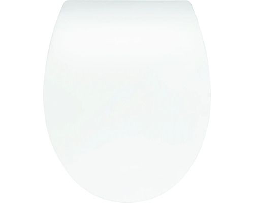 Toilettendeckel aus Kunststoff