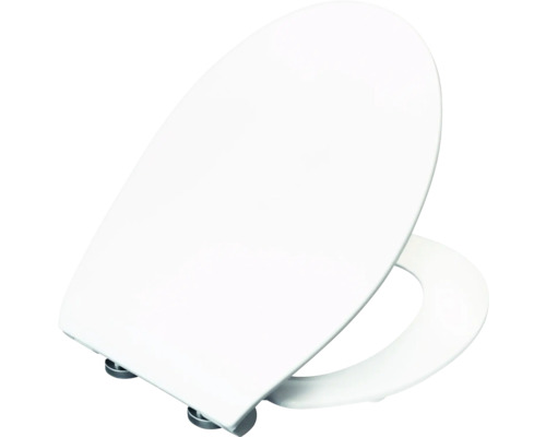 Toilettendeckel aus Kunststoff