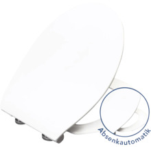 Toilettendeckel mit Absenkautomatik