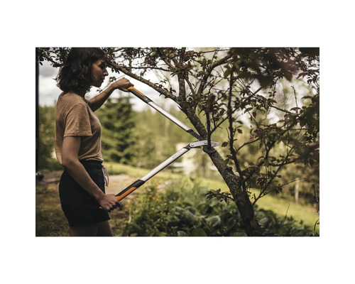 Femme coupant un arbre avec un ébrancheur à crémaillère