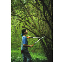 Femme utilisant une cisaille à branches dans le jardin pour tailler des branches