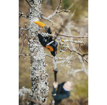 Élagueur en action lors de la taille d''un arbre