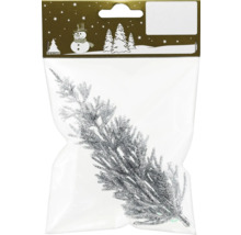 Glitzernder Tannenzweig in Verpackung als Weihnachtsdekoration