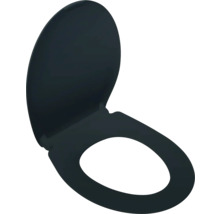 Toilettendeckel aus Kunststoff