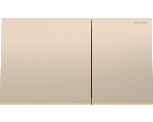 Plaque de commande Geberit pour chasse d''eau de WC