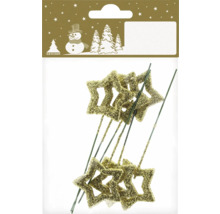 Étoiles décoratives sur tige dans l''emballage