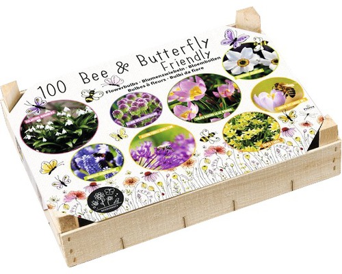 Blumenzwiebel Big Box - BIO DIVERSITÄT Bee & Butterfly Friendly 100 Stk.