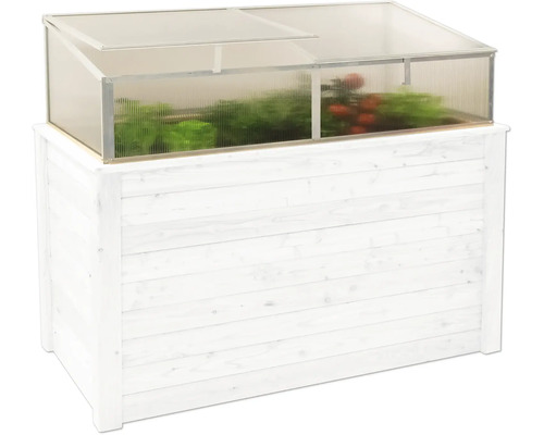 Jardinière surélevée avec serre en bois et plastique