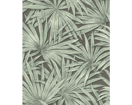 Papier peint intissé 542561 Allegretto palmiers vert Papier peint à motif de feuilles de palmier