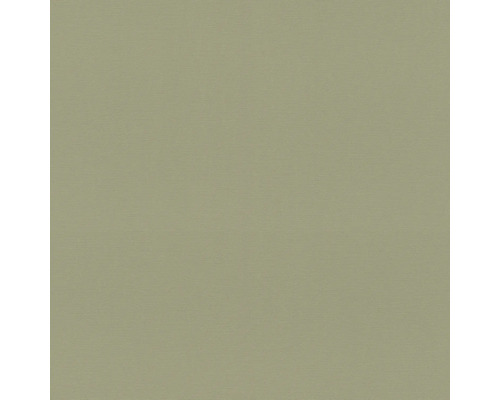 Papier peint intissé 692709 Allegretto uni vert Papier peint uni