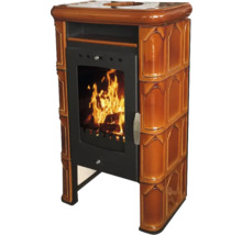 Poêle à bois avec fenêtre et feu de bois