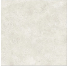 Carreau de céramique clair avec une texture mouchetée