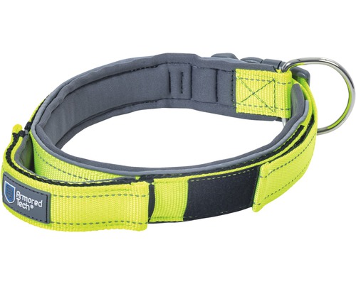 Collier pour chien en textile avec anneau en D