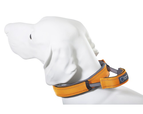 Collier ArmoredTech Dog Control Taille XS 31 - 35 cm orange