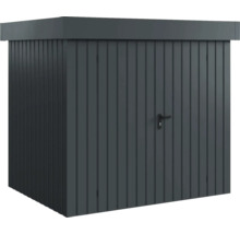 Abri de rangement en métal avec porte pour l''extérieur