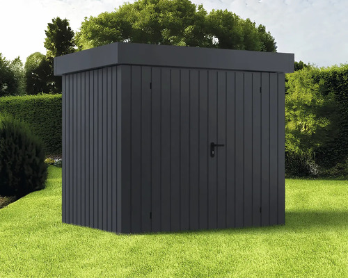 Abri de jardin rectangulaire avec porte sur pelouse