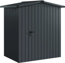 Abri de jardin métallique avec porte et toit à deux pentes