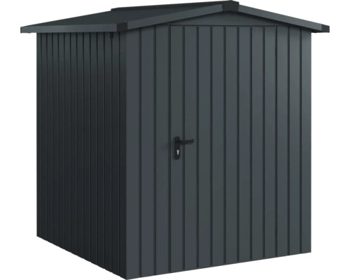 Abri de jardin Hörmann EcoStar Euroline toit à deux pans, porte à un vantail 189 x 181 cm anthracite Abri de jardin en métal avec porte et toit à pignon