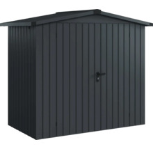Abri de jardin en métal avec porte