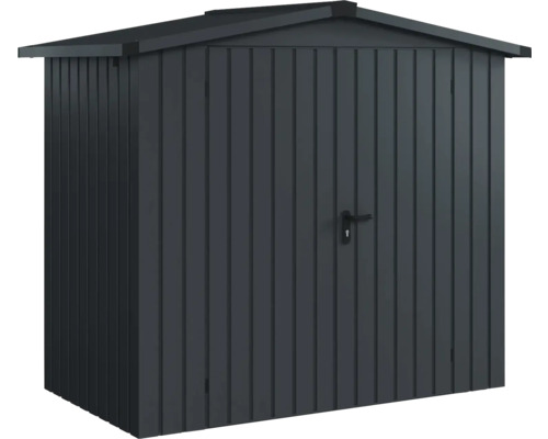 Abri de jardin en métal avec porte