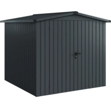 Abri de jardin en métal avec porte et toit