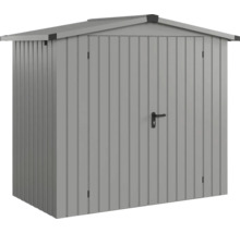 Abri de jardin métallique avec double porte