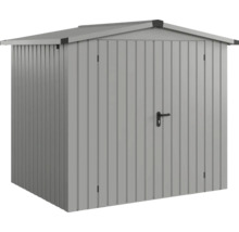 Abri de jardin métallique avec porte