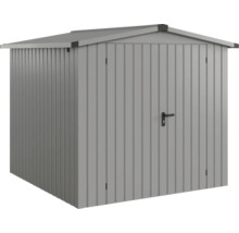 Abri de jardin métallique avec double porte