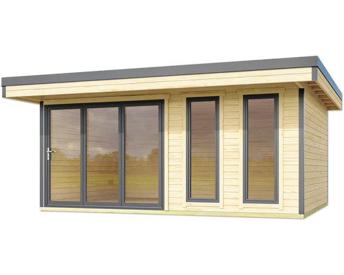 Abri de jardin avec fenêtres et double porte