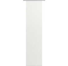 Rollup-Leinwand mit Halterung