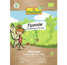 Schnittsalat/Pflücksalat Pflücksalat Floraself Floralie & Flo Samenfestes Saatgut Gemüsesamen