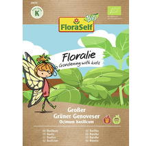 Basilikum Großer Grüner Genoveser Floraself Floralie & Flo Samenfestes Saatgut Kräutersamen