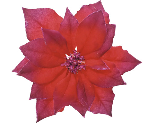 Décoration de Noël étoile de Noël en plastique 24 x 24 x 7 cm rot Fleur étoile de Noël pour décoration de Noël