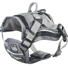 Harnais gris pour chien avec sangles réglables et anneaux de fixation