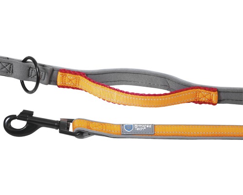 Laisse pour chien avec poignée et mousqueton