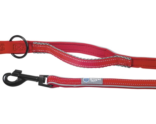 Laisse pour chien avec poignée et mousqueton
