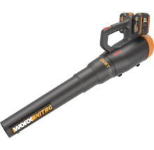 Akku-Laubbläser mit Worx Nitro Logo