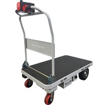 Akku Plattformwagen AP 250 mit Lenkrollen