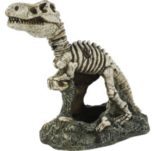 Squelette de dinosaure comme décoration pour aquariums