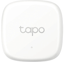 Tapo Logo