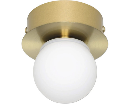 Applique murale acier verre LED 3,3 W blanc chaud 1 ampoule Mosiano laiton or Plafonnier avec globe en verre blanc rond et fixation