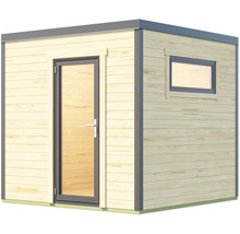 Abri de jardin avec porte et fenêtre