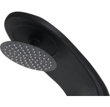 Pomme de douche noire avec pommeau