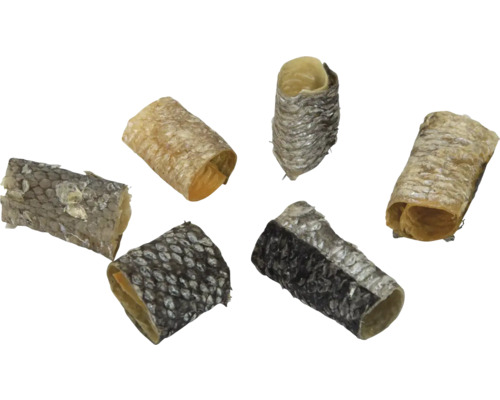 Mehrere Fischhautrollen