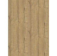 Panneau décoratif en bois avec motif chêne