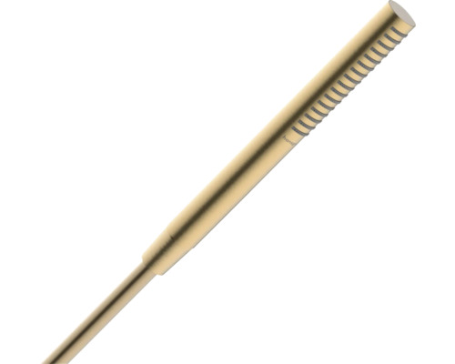 Stabhandbrause hansgrohe Pulsify E 100 1jet EcoSmart rund Ø 20 mm brushed bronze 24125140